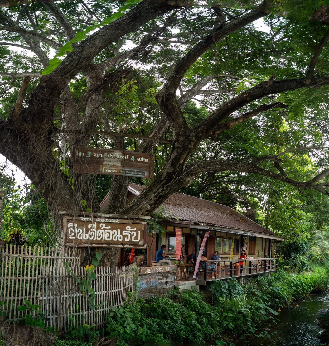 Farm-to-table Thai cuisine at Baanrainaifun café