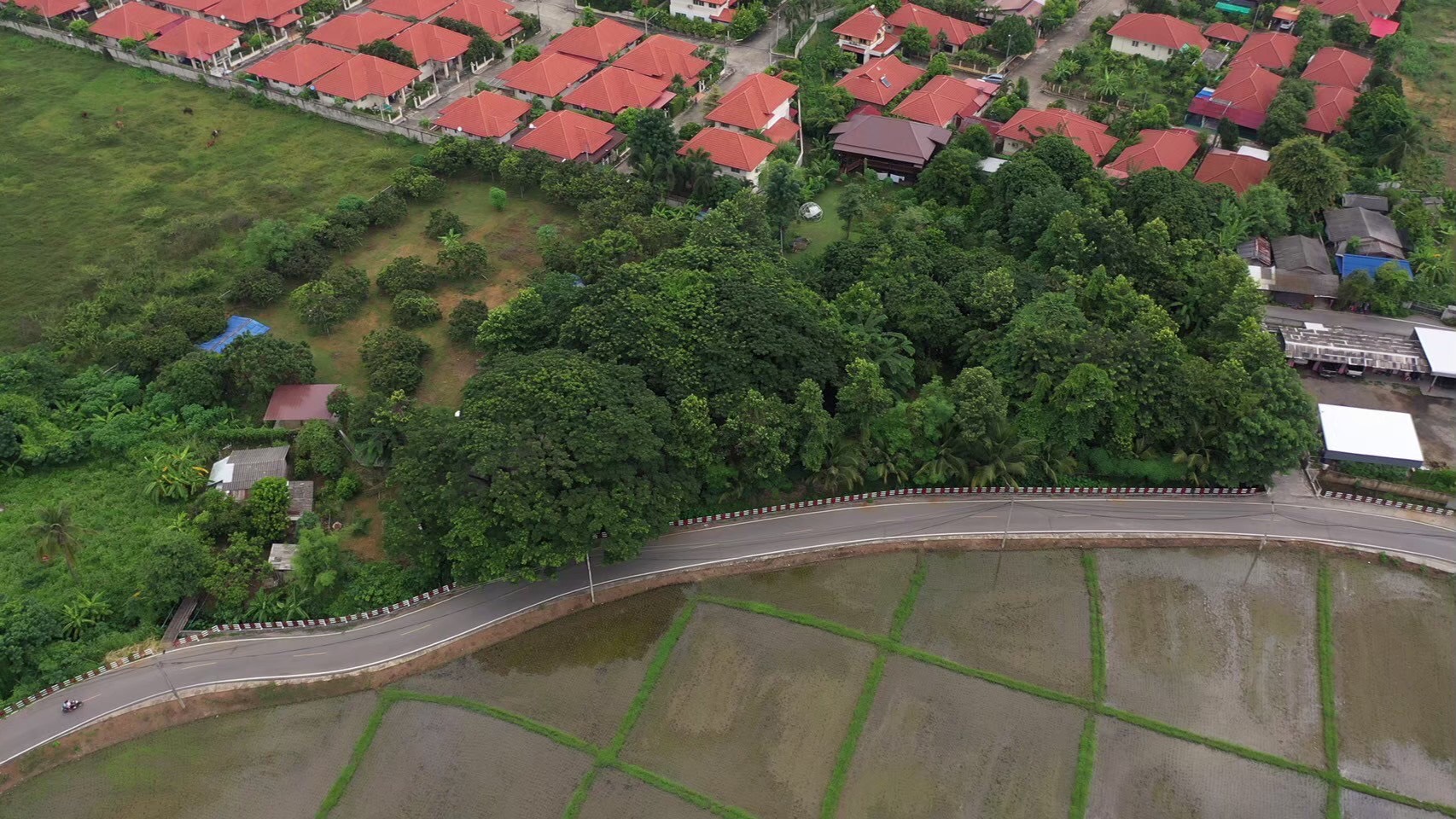 Lush garden transformation at Baanrainaifun
