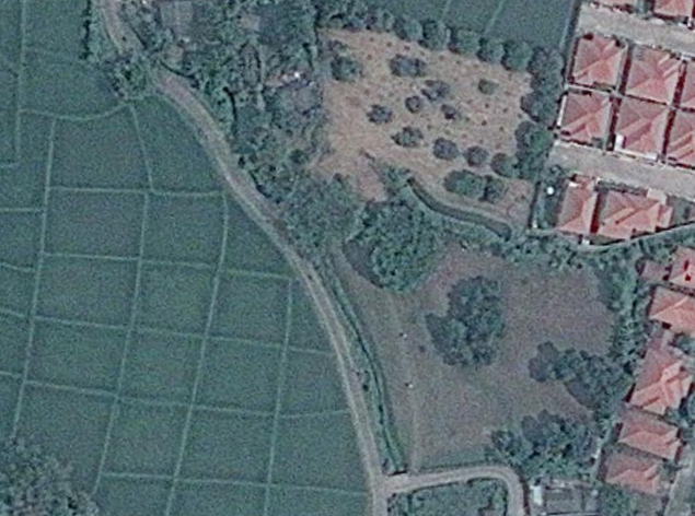 Before photo showing an open plot of land with only a few scattered trees