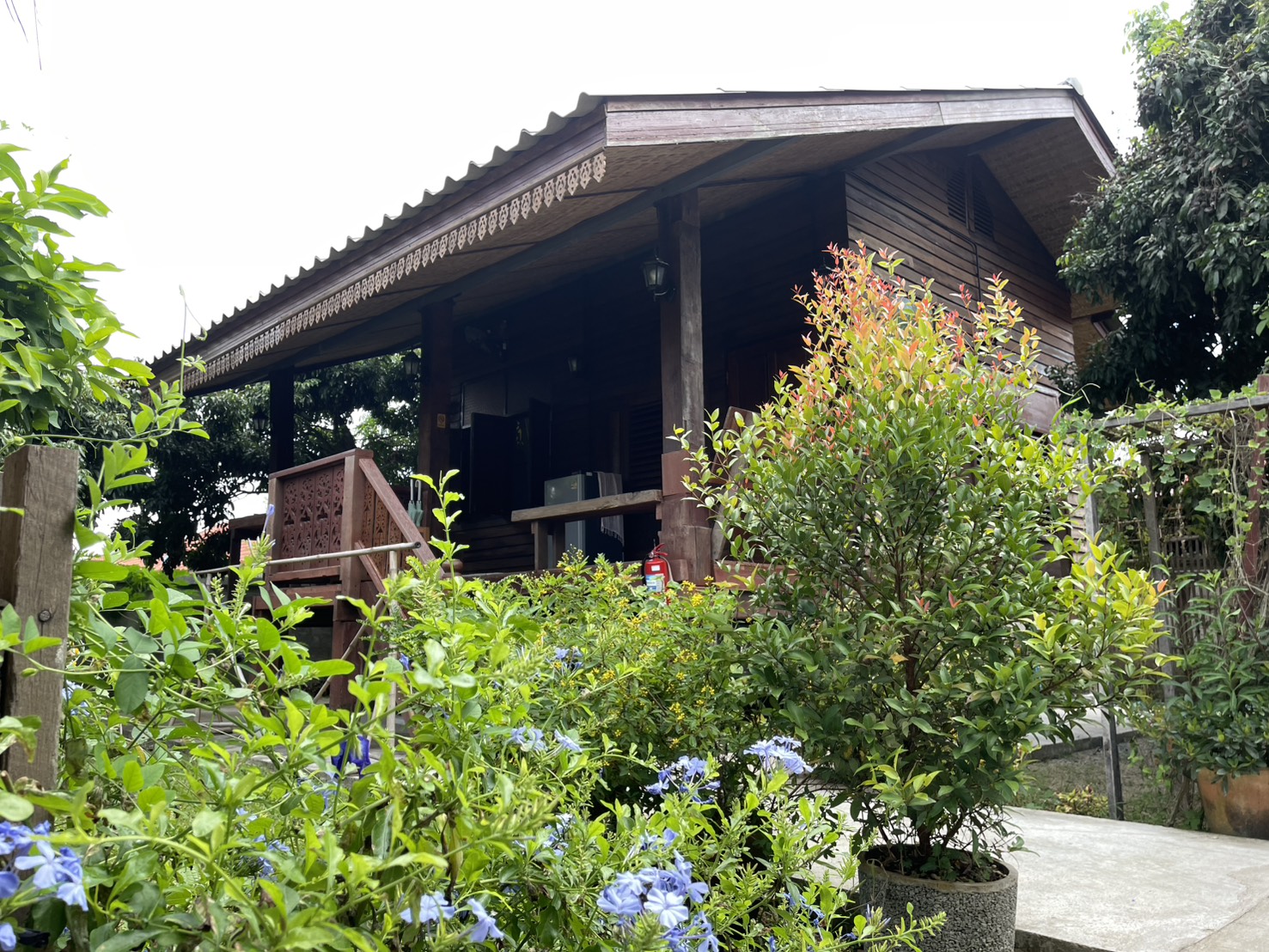 Beautiful organic garden house surrounded by lush vegetation